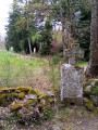 Bois de Champagnat par la Croix du Loup Bois de Champagnat par la Croix du Loup