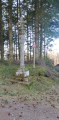 Croix Monumentale du Montdahin par la Petite Forêt