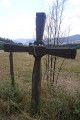 Dans les forêts de Lamure-sur Azergues Dans les forêts de Lamure-sur Azergues