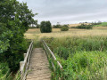 Crossing one of the bridges over a stream