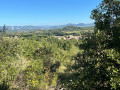 Le Bois de Jamot
