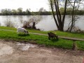 Curieuse rencontre