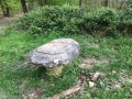 À Saint-Nom-la-Bretèche : une forêt de feuillus et des beaux arbres À Saint-Nom-la-Bretèche : une forêt de feuillus et des beaux arbres