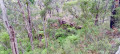 Currawong Falls