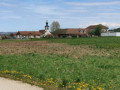 Cuvat