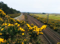 Cycle Path