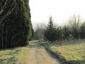D'anciennes pépinières