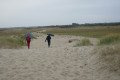 Dans la baie