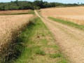 Dans la  campagne