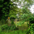 Dans la campagne