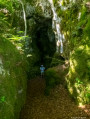 Dans la forêt d'Escandorgue Dans la forêt d'Escandorgue