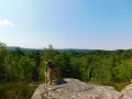 Dans la forêt des Grands Avaux Dans la forêt des Grands Avaux