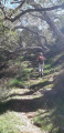 Dans la forêt primaire