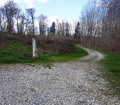 Dans la Forêt de Berdoues