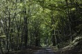 Boucle de Grézieu-la-Varenne au Col de la Luère