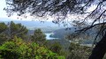 dans la montée sur la crête dans la montée sur la crête