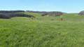 Dans la montée vers le point n°5