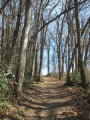 Dans la montée