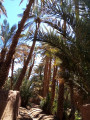 Palmeraie und Kasbah von Amezrou Palmeraie et kasbah d'Amezrou