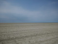 Dans la réserve naturelle de la Baie De Somme Dans la réserve naturelle de la Baie De Somme
