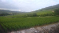 Dans la vallée