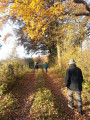 Dans le bocage avant l'entrée de la forêt