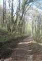Petit parcours de marche rapide vers Courtagnon Petit parcours de marche rapide vers Courtagnon