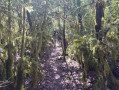 Dans le Vallat de Saume Morte