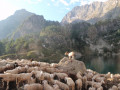 Dans le Valle della Meris: Rifugio Livio Bianco et Lago Sott.della Sella