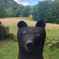 Dans le vallon de la Wormsa, une statue rend hommage au dernier ours tué dans les Vosges.