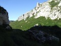 Dans le vallon Dans le vallon