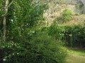 Dans le village des Penots, près d'Azérables Dans le village des Penots, près d'Azérables