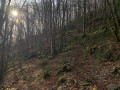 Dans les gorges de l'ARN