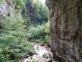 Dans les gorges