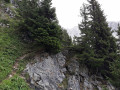Dans les Rochers des Hirondelles