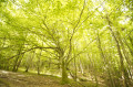 Boucle du Calvaire de Portes au départ de Charvieux Boucle du Calvaire de Portes au départ de Charvieux
