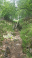 Les tranchées Sud du Hartmannswillerkopf Les tranchées Sud du Hartmannswillerkopf