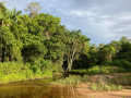 Daouda creek