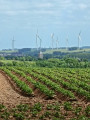 From point 7, at a place known as Le Houx