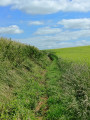 The country lane known as the &lsquo;Romans&rsquo; path&rsquo;
