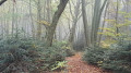 De belles couleur et un peu de brouillard