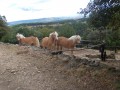De belles rencontres De belles rencontres