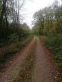 De belles routes forestières.