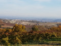 Boucle de Fonfrège aux Bouissières