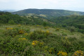 De grands espaces sauvages