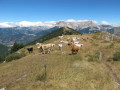 Le Tour de la Montagne de Ceüse