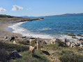 En parcourant la plage Agios Spiridon