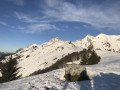 De la Croix d'Allant