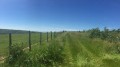 De la verdure encore et encore De la verdure encore et encore