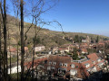 From Ribeauvillé to Dusenbach Monastery through the woods